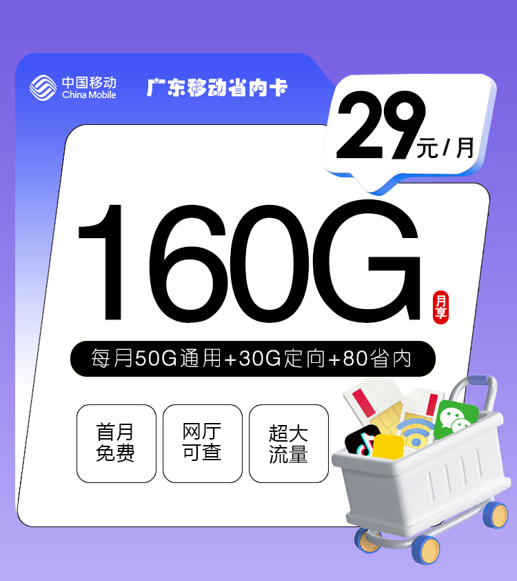 广东移动省内卡【29元160G】