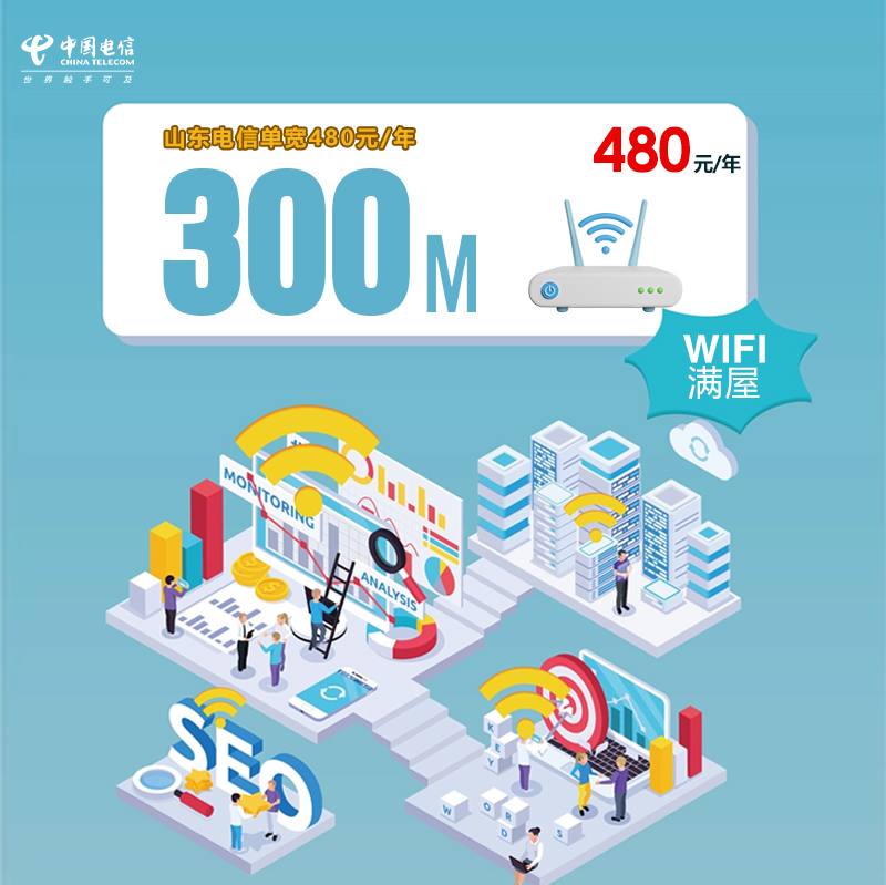 山东电信单宽300M480元/年