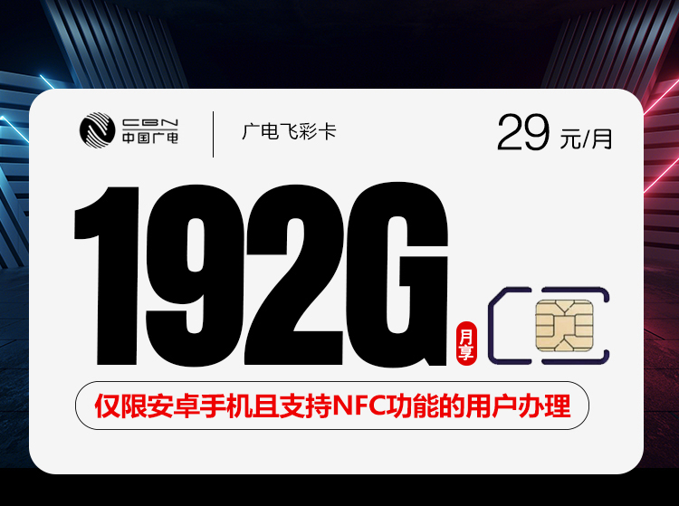 广电飞彩卡【29元192G】