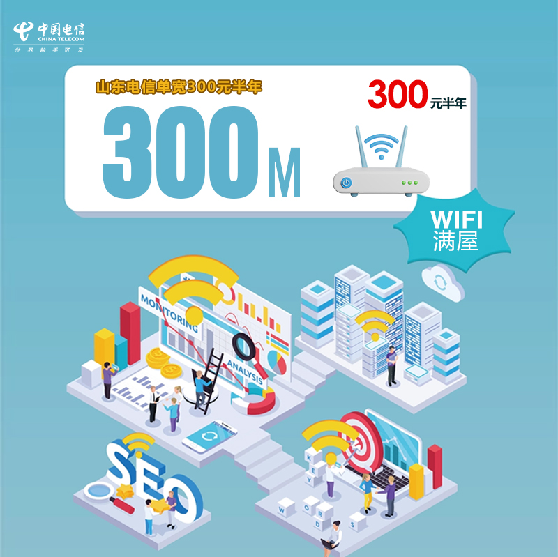 山东电信单宽300M300元半年