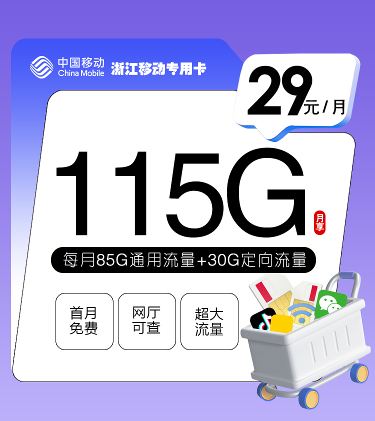 浙江移动专用卡【29元115G】