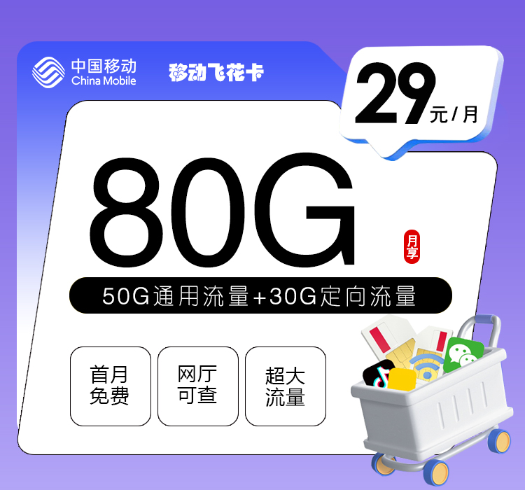 移动飞花卡【29元80G】