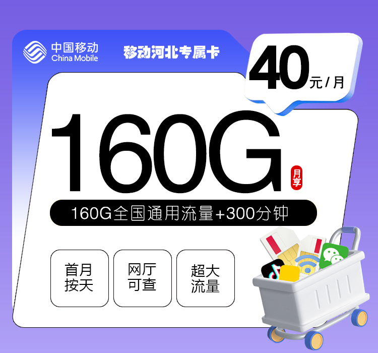 移动河北专属卡3.0【40元160G+300分钟】
